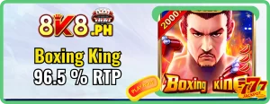 8k8 Boxing King